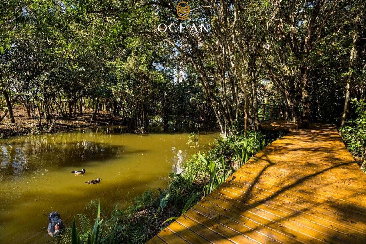 Foto do condomínio Brava Home Resort